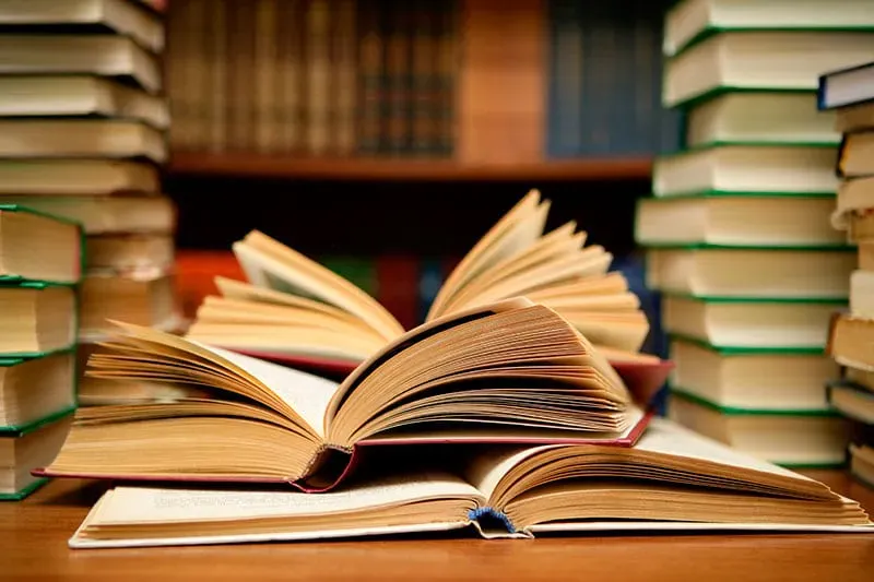 Libri sul burraco: i migliori per iniziare